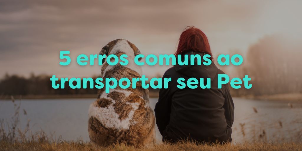 5 erros comuns ao transportar seu Pet de estimação e como evitá-los