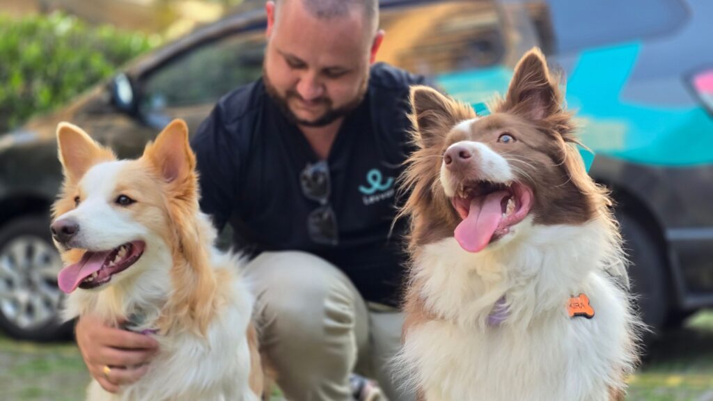 Como Escolher a Melhor Empresa para Transporte de Pets: Conheça os Diferenciais da Levvar